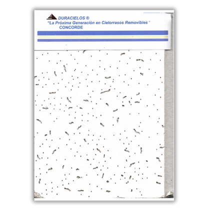 Plafón Concorde de .61 x .61 LS