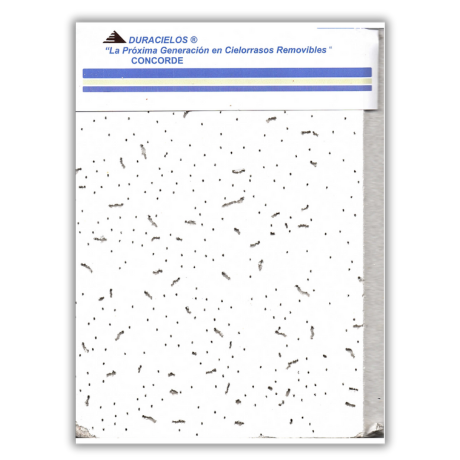 Plafón Concorde de .61 x .61 LS